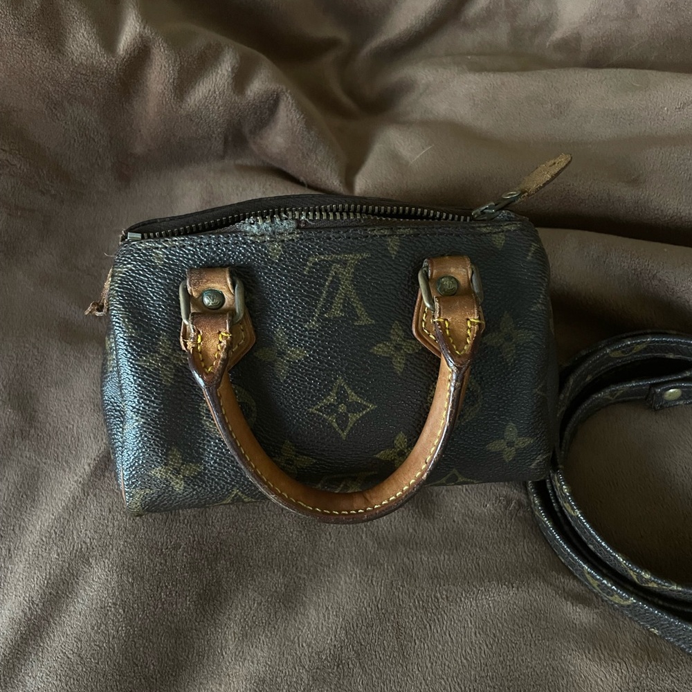 Louis Vuitton Monogram Mini Bag in Brown and Tan